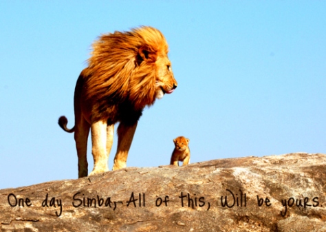 cub-cute-lion-lion-king-mufasa-simba-Favim.com-91525
